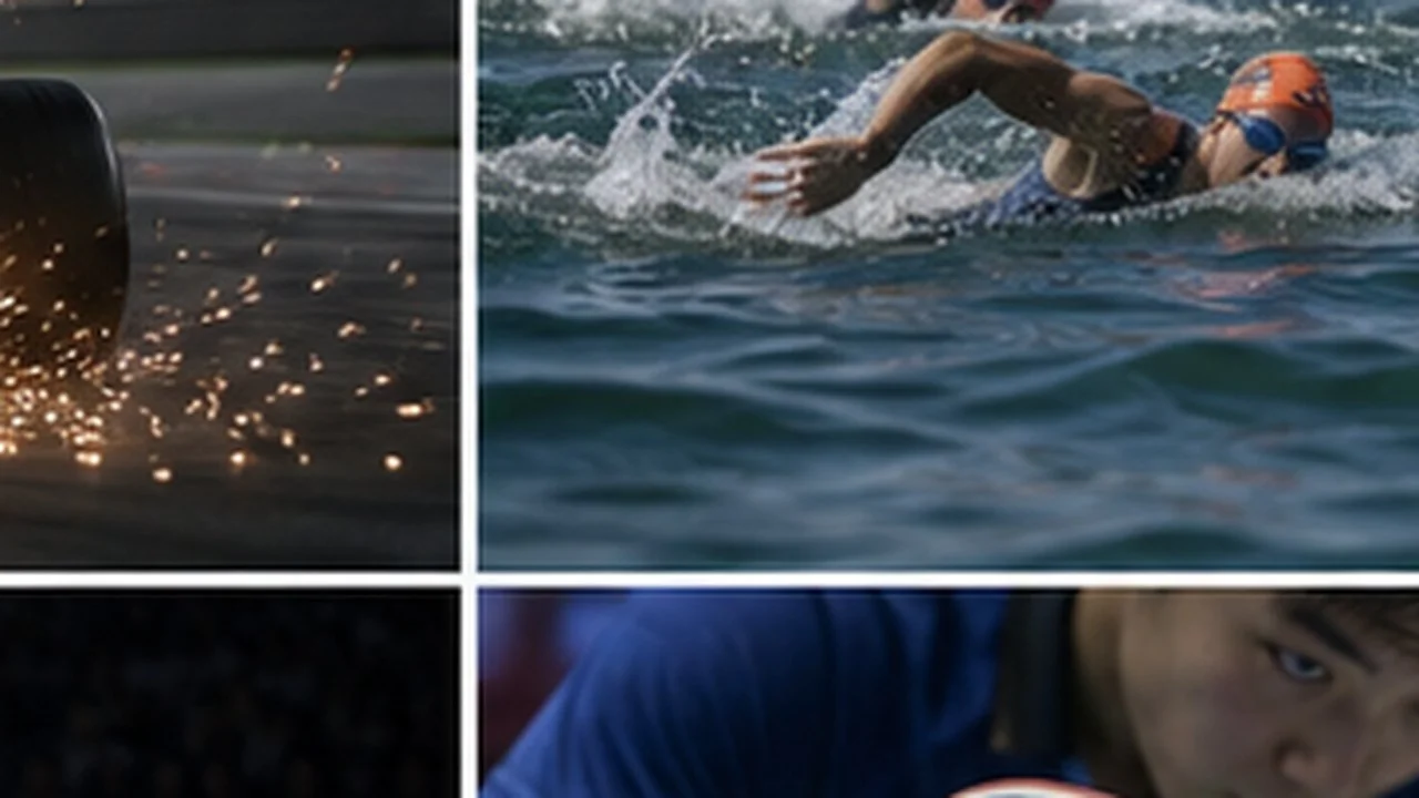 体育分析配图